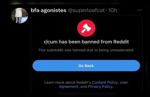 Subreddit Banned From Reddit