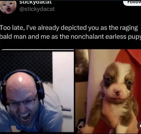 Raging Bald Man and Earless Puppy