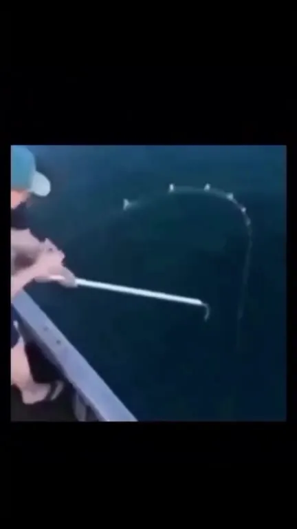 Russian Fishing