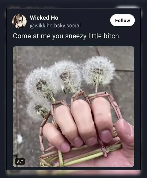 Come at Me You Sneezy Little Bitch