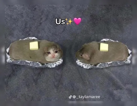 Us as Tiny Baked Animals