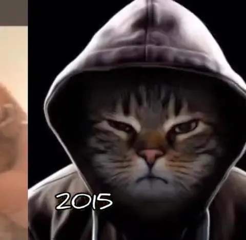 Cat Music Evolution Through the Years