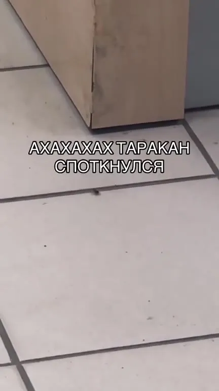 Таракан споткнулся под Nirvana