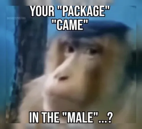 Your Package Game in the Male