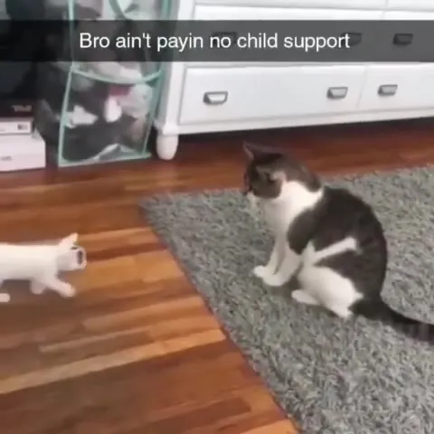 Bro Ain't Paying Child Support
