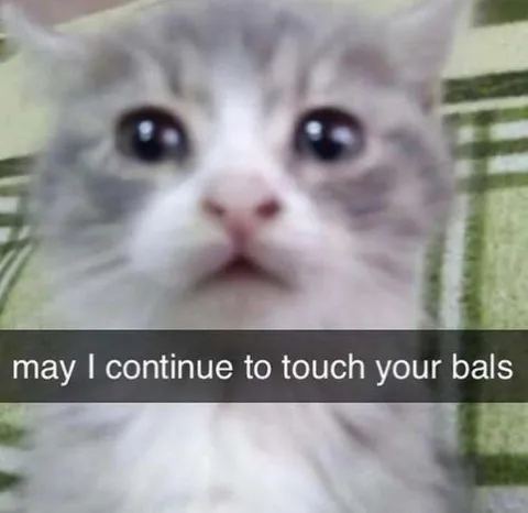 May I Continue to Touch Your Bals
