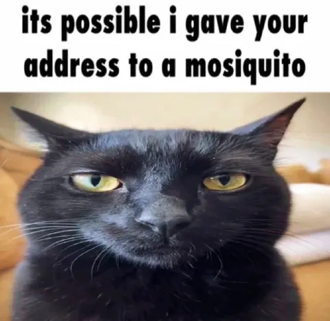 Black Cat Gives Your Address