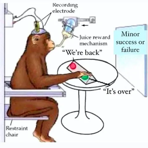 Monkey Reacts to Minor Success
