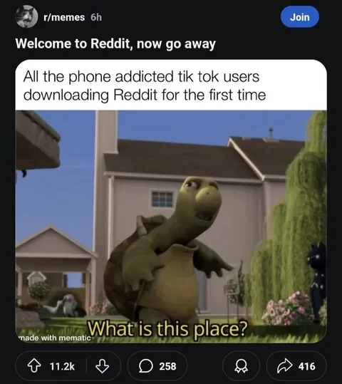 TikTok Users Discover Reddit