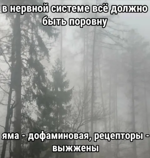 Дофаминовая яма и выжженные рецепторы