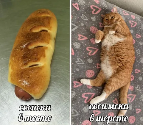 Сосиска в тесте и шерсти