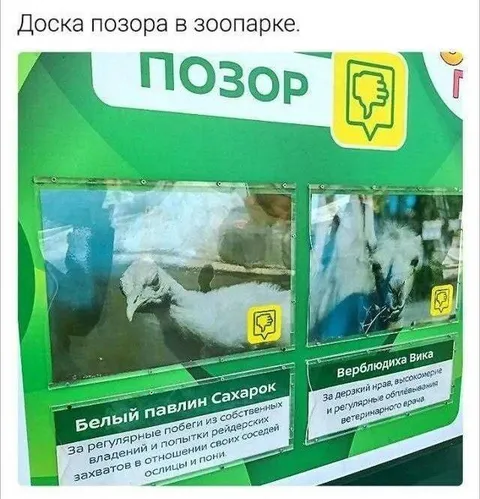 Доска позора в зоопарке