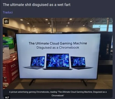 Cloud Gaming Chromebook Fail