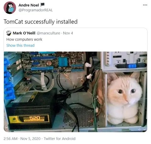 TomCat Successfully Installed