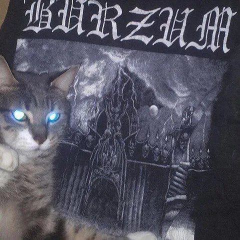 Black Metal Cat