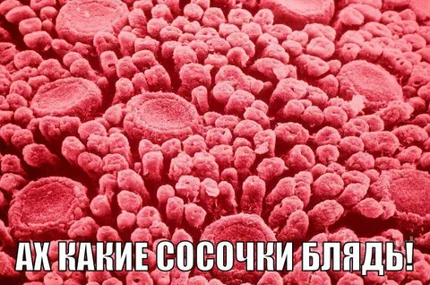 Ах какие сосочки блядь