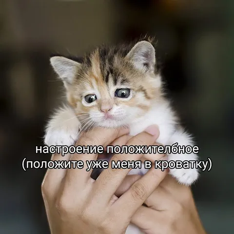 Положите меня в кроватку
