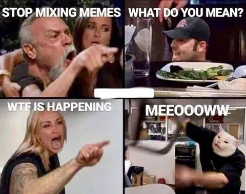 Stop Mixing Memes Reaction