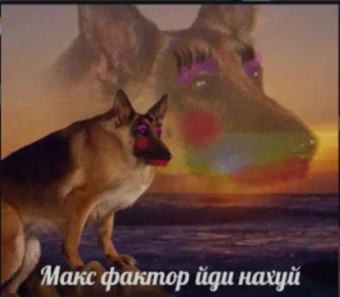Макс Фактор йди нахуй