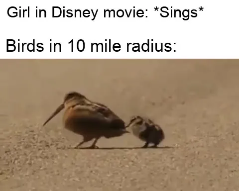 Birds Hear a Disney Song