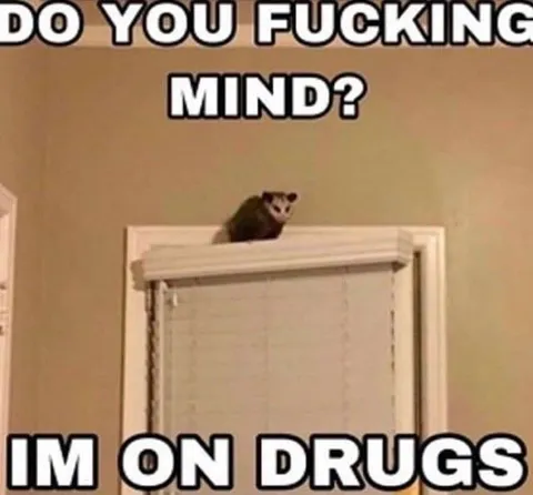 Do You Fucking Mind?