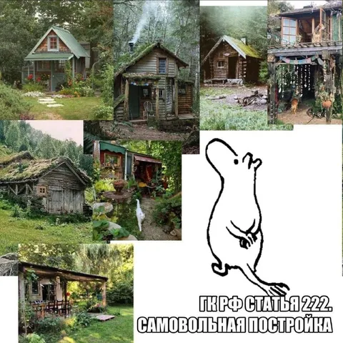 Самовольная постройка в лесу