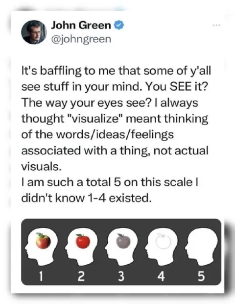 Visual Imagination Scale Confusion