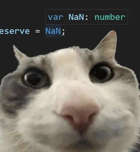 Cat Sees NaN