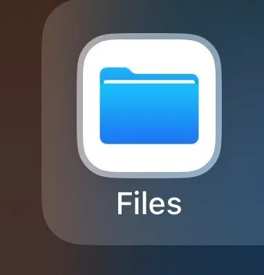 Files App Icon