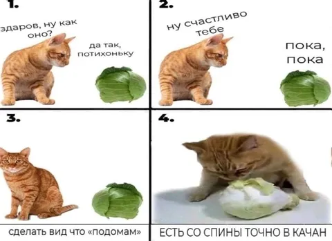 Кот делает вид, что уходит