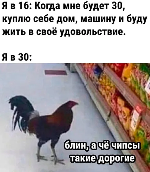 Когда чипсы слишком дорогие
