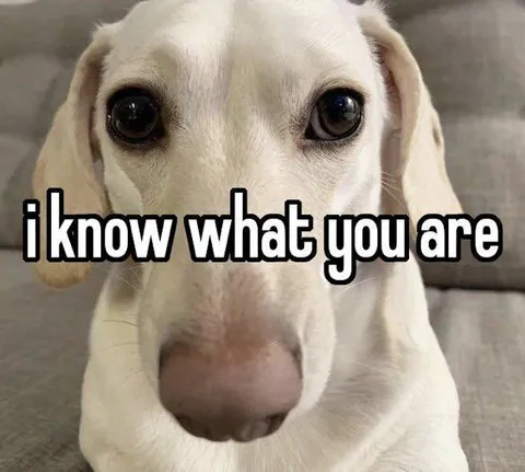 I Know What You Are