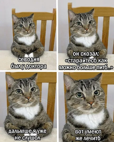 Кот услышал про больше пить