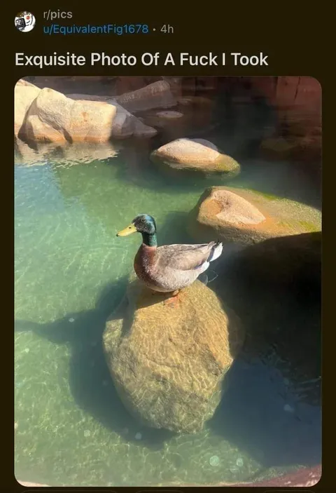 Exquisite Photo of a Fuck