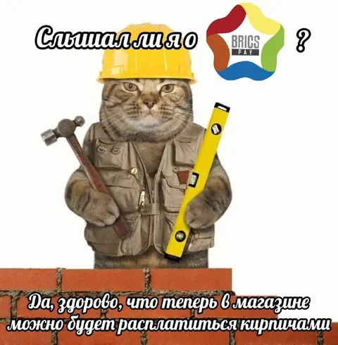 Кот-строитель и кирпичная оплата