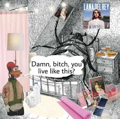 Damn, Bitch, You Live Like This?