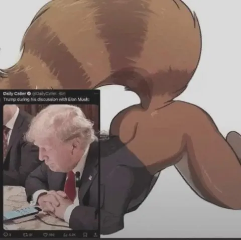 Trump During the Musk Discussion
