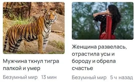 Мужчина ткнул тигра, женщина обрела счастье