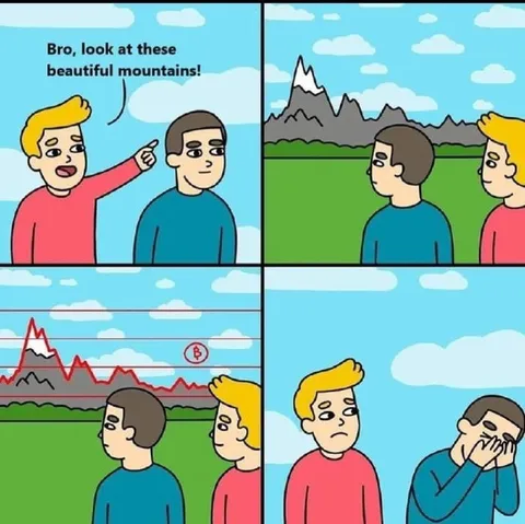 Beautiful Mountains Bitcoin Crash
