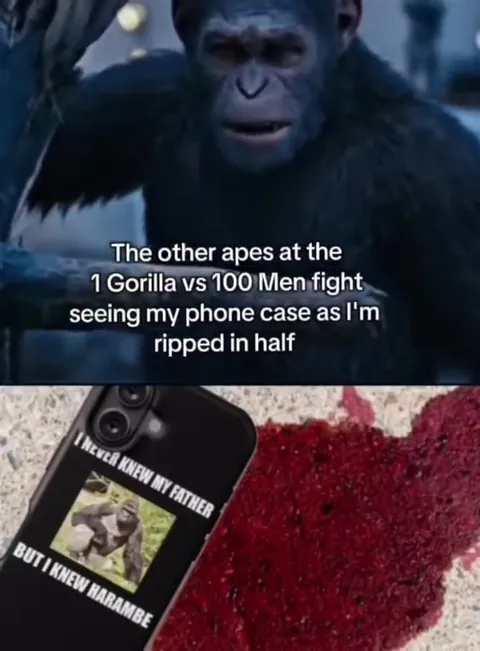 The Apes See My Harambe Case