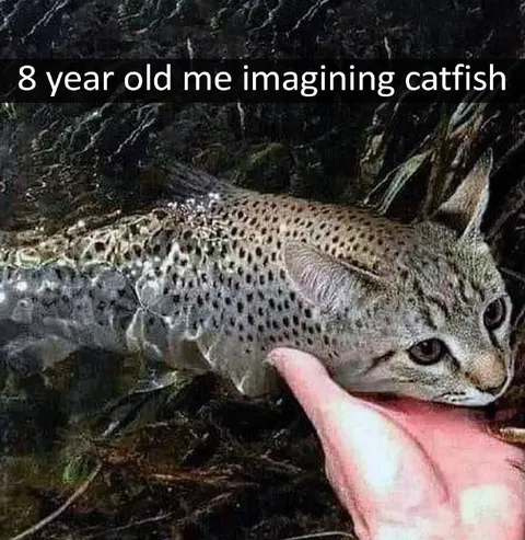Eight-Year-Old Imagines Catfish