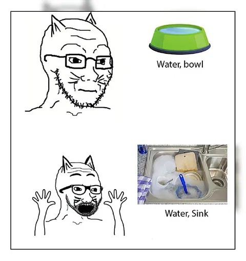 Water Bowl vs Water Sink