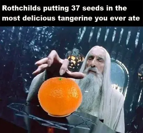 Rothschilds Seeded Tangerine