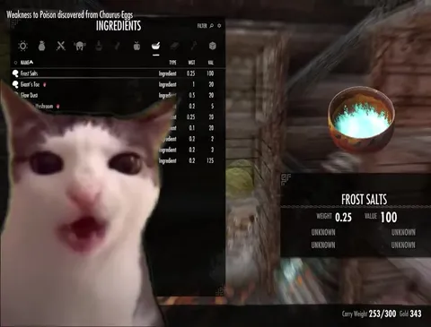 Cat Discovers Skyrim Ingredients