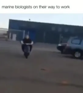 Marine Biologists on Their Way to Work