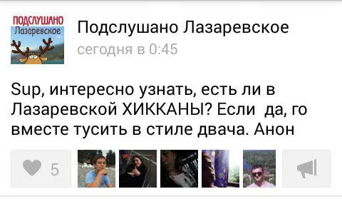 Хикканы в Лазаревском