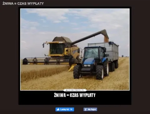 Żniwa to czas wypłaty