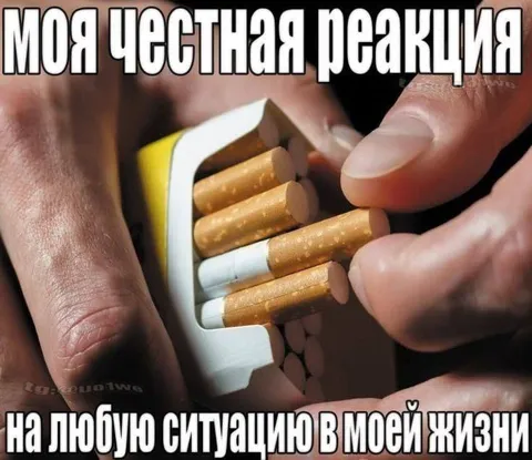 Честная реакция на жизнь