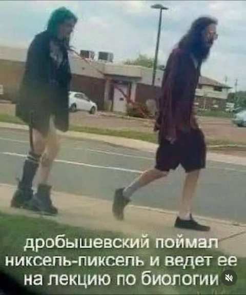 Дробышевский ведёт Никсель-Пиксель