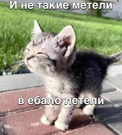 И не такие метели в ебало летели